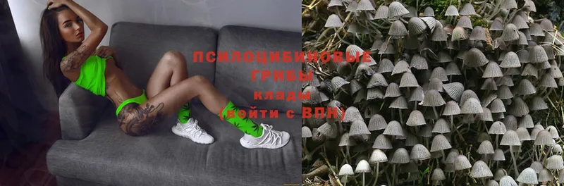 Галлюциногенные грибы Magic Shrooms  купить наркоту  Белово 